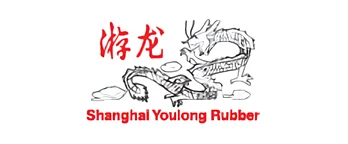 Shanghai Youlong